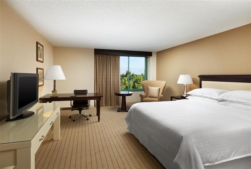 Sheraton San Jose Milpitas Szoba fotó